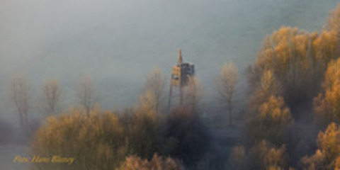 Foto der Lippeauen