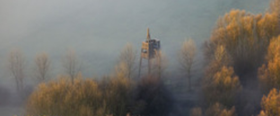 Lippeauen im Nebel